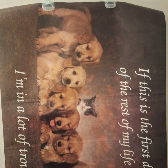 Cute Dogs And Cat Poster. PC0964 "Lot Of Trouble" 34x22 In. - Picture 2 of 5